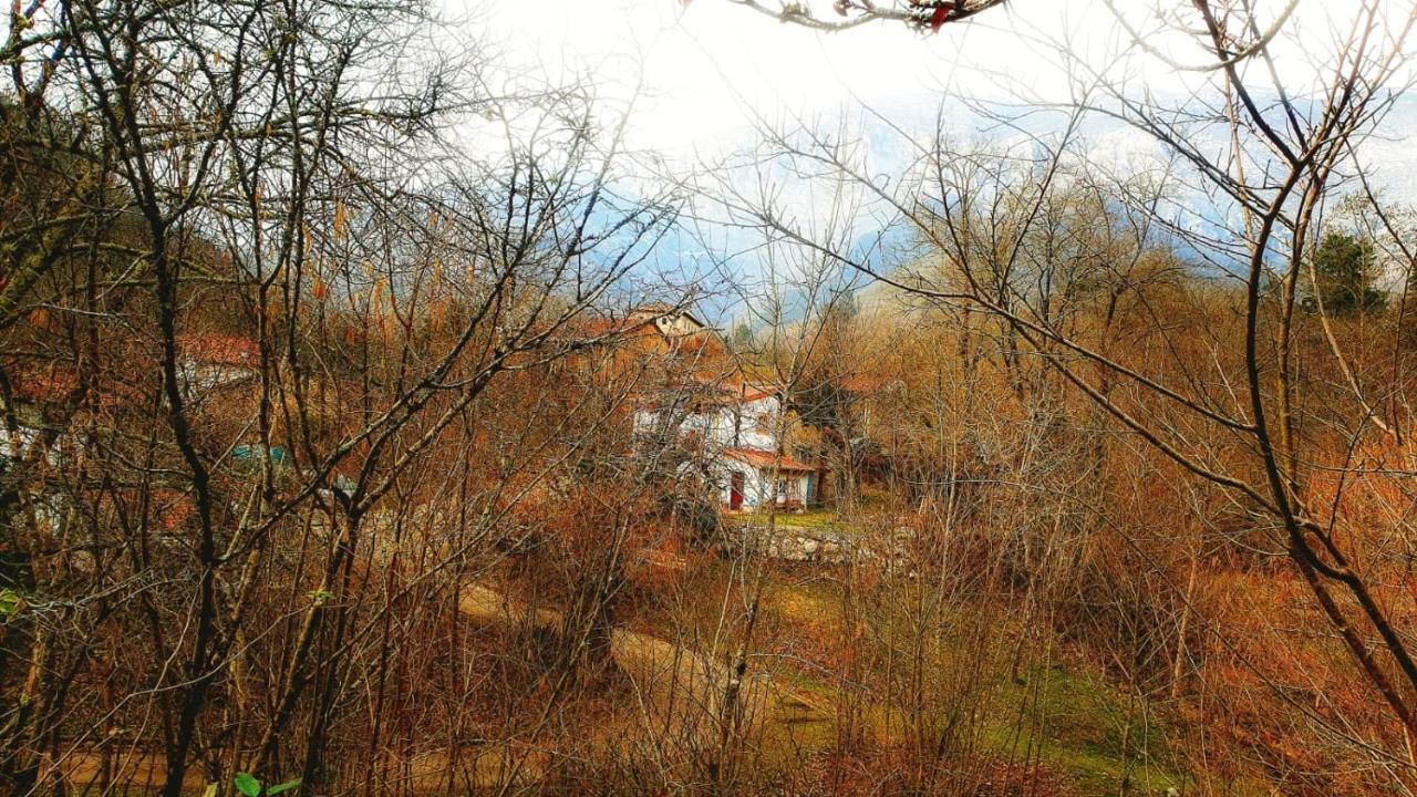 Hotel Rural La Tahona De Besnes Arenas De Cabrales Exteriör bild